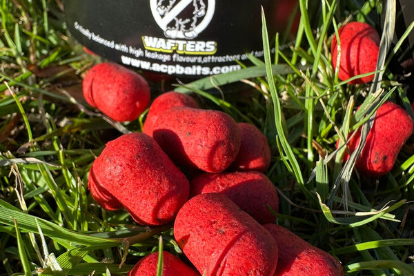 Pacific Plum dumbbell wafters (field testers)