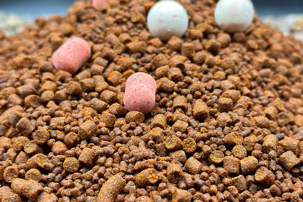 5Kg of Pacific Plum mixed 2mm and 4mm Pellets