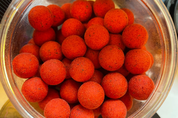 Pacific Plum - Pop Ups (Field Testers)