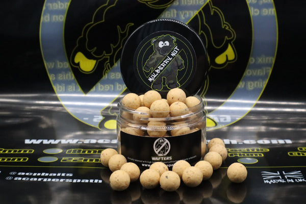 Mulberry Nut Wafters (Field Testers)