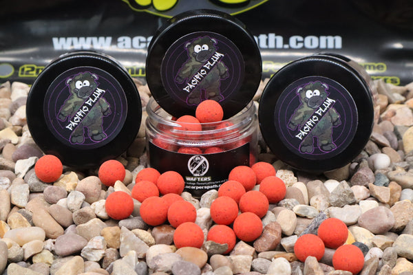 Pacific Plum Wafters (15mm) (Field Testers)