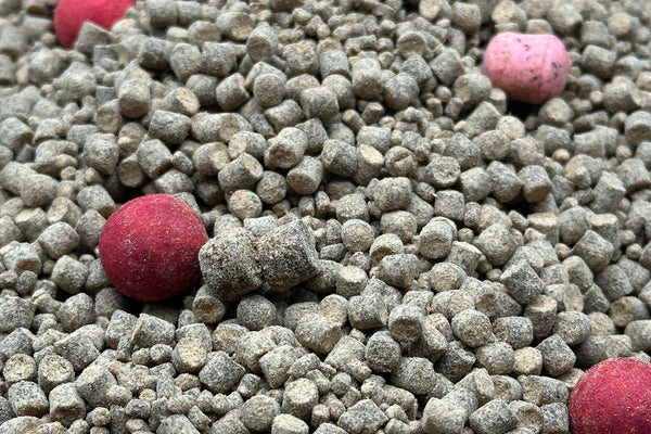 5Kg of Mulberry Nut mixed 2mm and 4mm Pellet (field testers)
