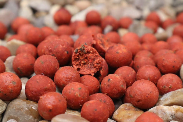 Pacific Plum - Boilies (100g Sample Pack)